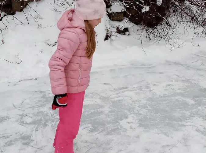 בית נופש Domek *